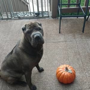 Meet your Posher, Kathy